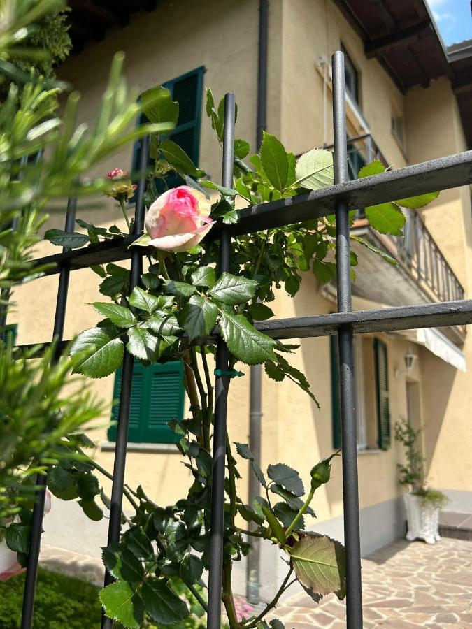 Sebino Holiday Home Monte Isola Exterior photo
